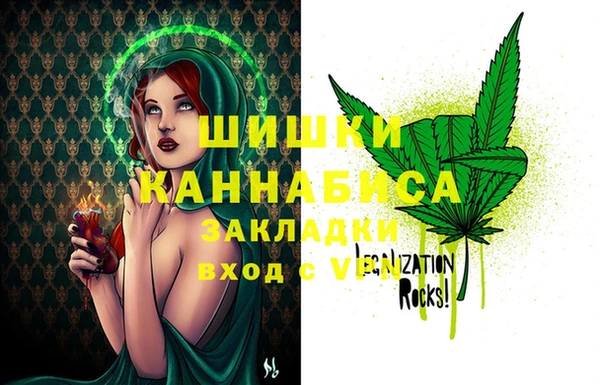ПСИЛОЦИБИНОВЫЕ ГРИБЫ Алексеевка