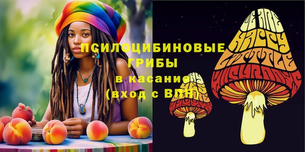 круглые Алзамай