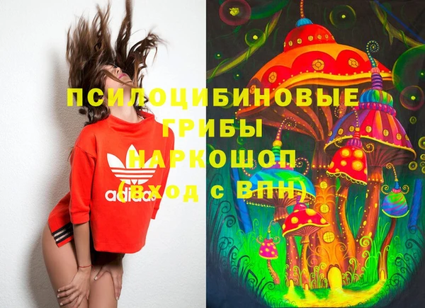ПСИЛОЦИБИНОВЫЕ ГРИБЫ Алексеевка