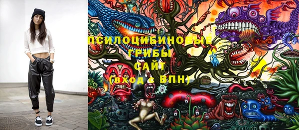 круглые Алзамай