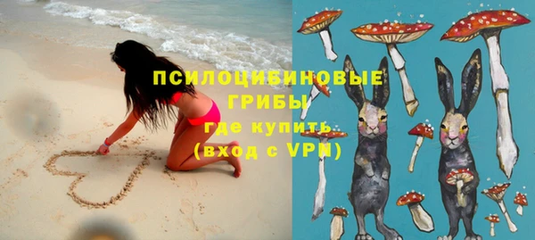 круглые Алзамай